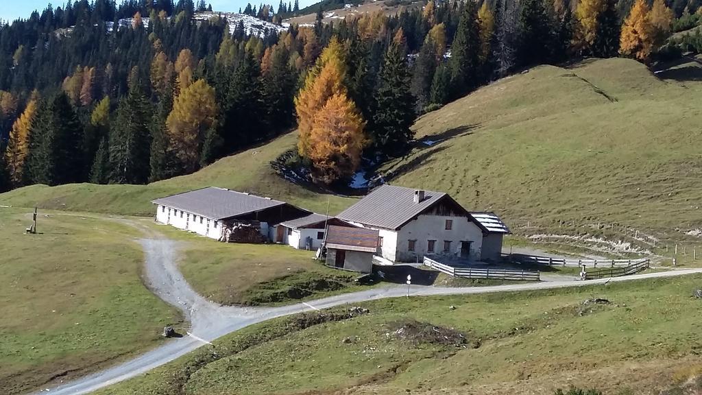 Апартаменты Haus Mattle Петной-ам-Арльберг Экстерьер фото